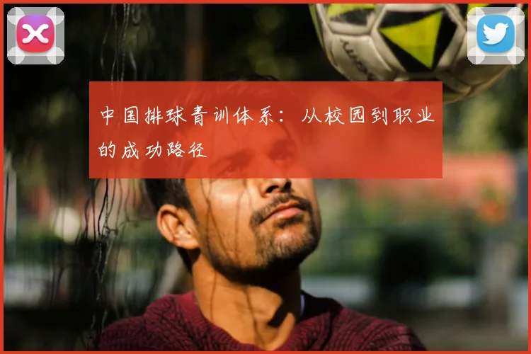 中国排球青训体系：从校园到职业的成功路径
