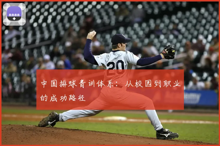 中国排球青训体系：从校园到职业的成功路径